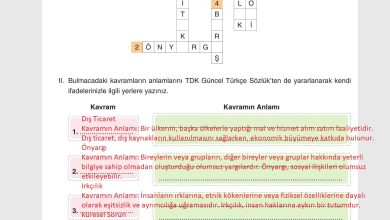 7. Sınıf Yıldırım Yayınları Sosyal Bilgiler Ders Kitabı Sayfa 246 Cevapları