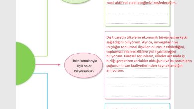 7. Sınıf Yıldırım Yayınları Sosyal Bilgiler Ders Kitabı Sayfa 247 Cevapları