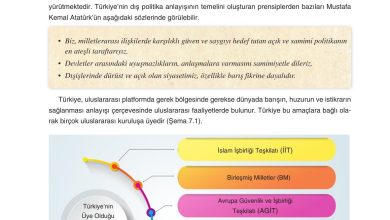 7. Sınıf Yıldırım Yayınları Sosyal Bilgiler Ders Kitabı Sayfa 248 Cevapları