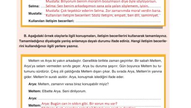 7. Sınıf Yıldırım Yayınları Sosyal Bilgiler Ders Kitabı Sayfa 25 Cevapları