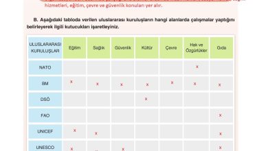 7. Sınıf Yıldırım Yayınları Sosyal Bilgiler Ders Kitabı Sayfa 253 Cevapları