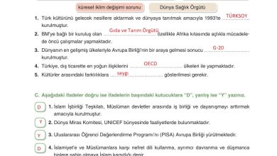 7. Sınıf Yıldırım Yayınları Sosyal Bilgiler Ders Kitabı Sayfa 272 Cevapları