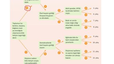 7. Sınıf Yıldırım Yayınları Sosyal Bilgiler Ders Kitabı Sayfa 37 Cevapları