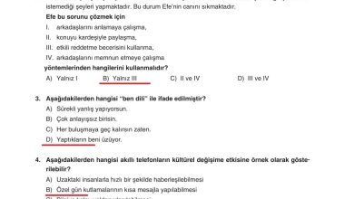 7. Sınıf Yıldırım Yayınları Sosyal Bilgiler Ders Kitabı Sayfa 41 Cevapları