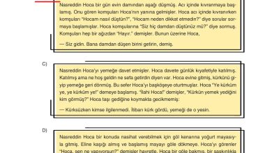 7. Sınıf Yıldırım Yayınları Sosyal Bilgiler Ders Kitabı Sayfa 42 Cevapları