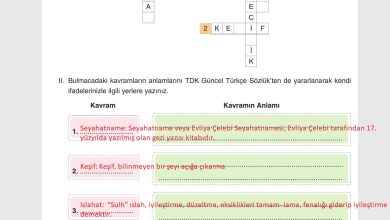 7. Sınıf Yıldırım Yayınları Sosyal Bilgiler Ders Kitabı Sayfa 46 Cevapları