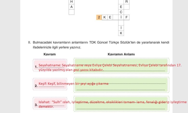 7. Sınıf Yıldırım Yayınları Sosyal Bilgiler Ders Kitabı Sayfa 46 Cevapları