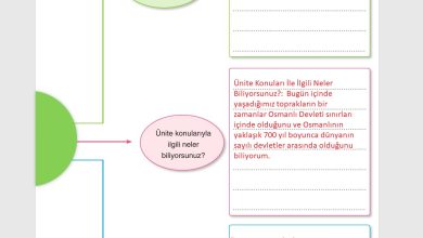 7. Sınıf Yıldırım Yayınları Sosyal Bilgiler Ders Kitabı Sayfa 47 Cevapları