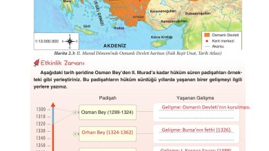 7. Sınıf Yıldırım Yayınları Sosyal Bilgiler Ders Kitabı Sayfa 56 Cevapları