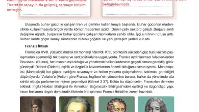 7. Sınıf Yıldırım Yayınları Sosyal Bilgiler Ders Kitabı Sayfa 83 Cevapları