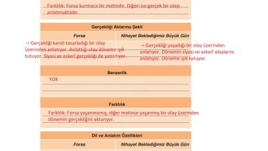 9. Sınıf Meb Yayınları Türkçe Ders Kitabı Sayfa 105 Cevapları