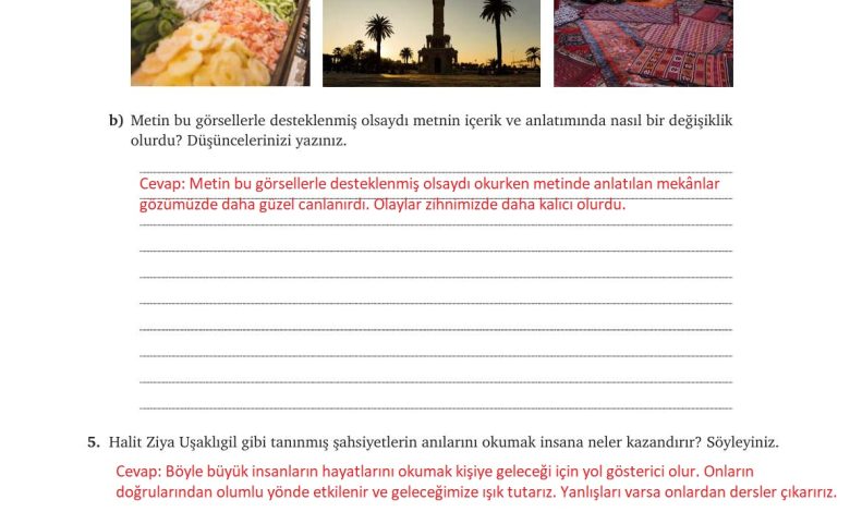 9. Sınıf Meb Yayınları Türkçe Ders Kitabı Sayfa 109 Cevapları