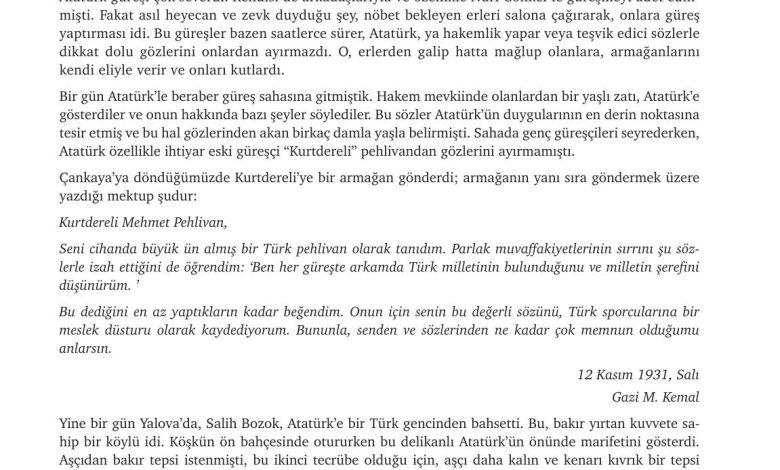 9. Sınıf Meb Yayınları Türkçe Ders Kitabı Sayfa 110 Cevapları