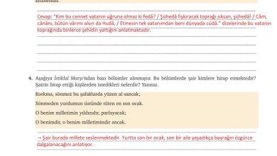 9. Sınıf Meb Yayınları Türkçe Ders Kitabı Sayfa 119 Cevapları