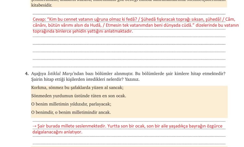 9. Sınıf Meb Yayınları Türkçe Ders Kitabı Sayfa 119 Cevapları