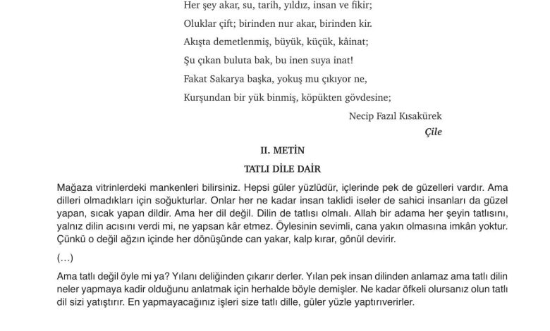 9. Sınıf Meb Yayınları Türkçe Ders Kitabı Sayfa 123 Cevapları