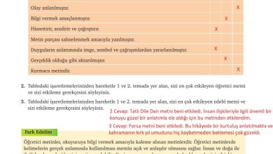 9. Sınıf Meb Yayınları Türkçe Ders Kitabı Sayfa 124 Cevapları