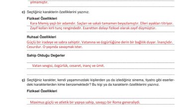 9. Sınıf Meb Yayınları Türkçe Ders Kitabı Sayfa 128 Cevapları