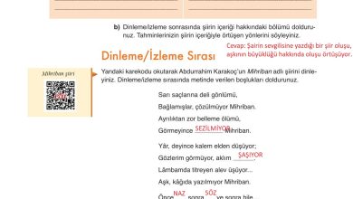 9. Sınıf Meb Yayınları Türkçe Ders Kitabı Sayfa 132 Cevapları