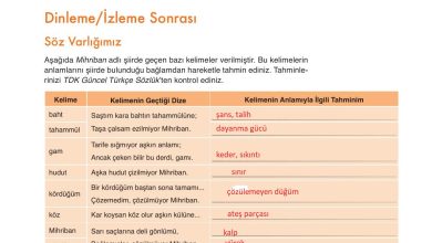 9. Sınıf Meb Yayınları Türkçe Ders Kitabı Sayfa 133 Cevapları