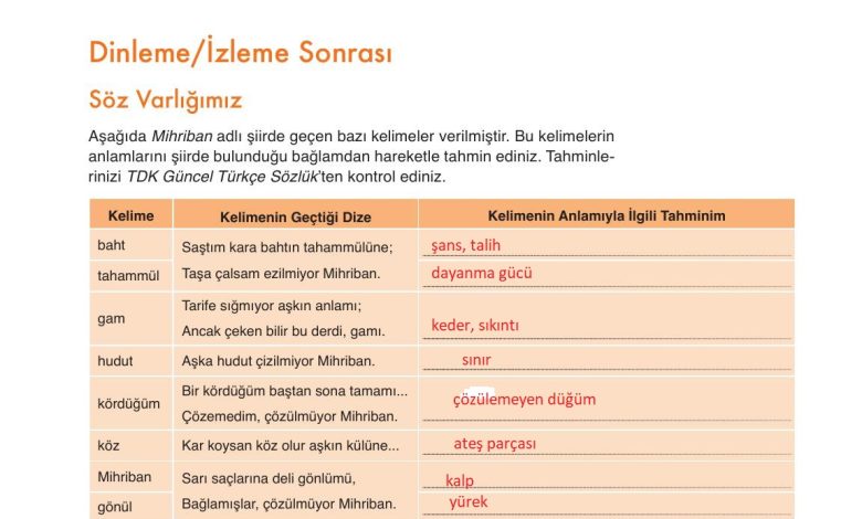 9. Sınıf Meb Yayınları Türkçe Ders Kitabı Sayfa 133 Cevapları