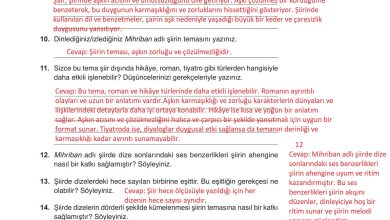 9. Sınıf Meb Yayınları Türkçe Ders Kitabı Sayfa 135 Cevapları