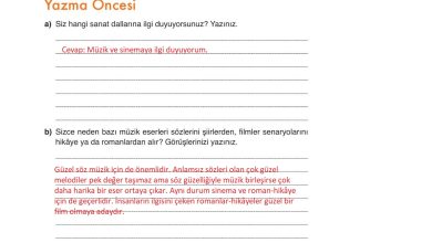 9. Sınıf Meb Yayınları Türkçe Ders Kitabı Sayfa 139 Cevapları