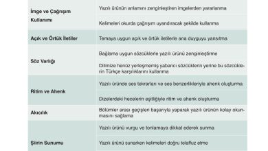 9. Sınıf Meb Yayınları Türkçe Ders Kitabı Sayfa 141 Cevapları