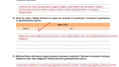 9. Sınıf Meb Yayınları Türkçe Ders Kitabı Sayfa 147 Cevapları