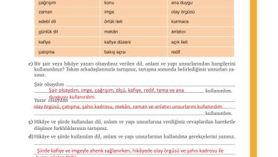 9. Sınıf Meb Yayınları Türkçe Ders Kitabı Sayfa 153 Cevapları