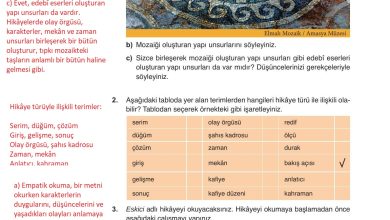 9. Sınıf Meb Yayınları Türkçe Ders Kitabı Sayfa 154 Cevapları