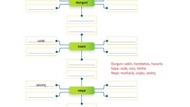 9. Sınıf Meb Yayınları Türkçe Ders Kitabı Sayfa 159 Cevapları