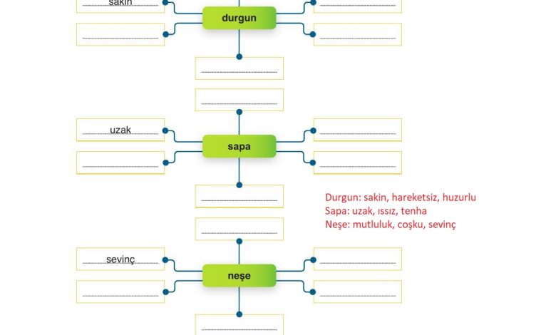 9. Sınıf Meb Yayınları Türkçe Ders Kitabı Sayfa 159 Cevapları