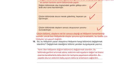 9. Sınıf Meb Yayınları Türkçe Ders Kitabı Sayfa 162 Cevapları