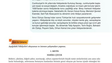 9. Sınıf Meb Yayınları Türkçe Ders Kitabı Sayfa 164 Cevapları