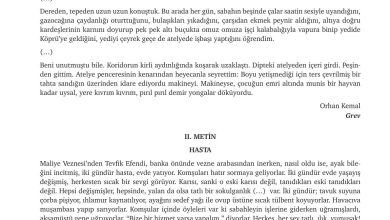 9. Sınıf Meb Yayınları Türkçe Ders Kitabı Sayfa 165 Cevapları