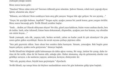 9. Sınıf Meb Yayınları Türkçe Ders Kitabı Sayfa 166 Cevapları