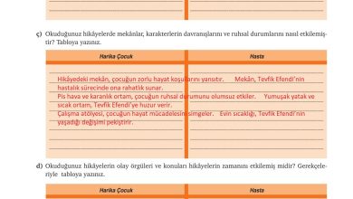 9. Sınıf Meb Yayınları Türkçe Ders Kitabı Sayfa 167 Cevapları