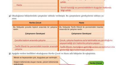 9. Sınıf Meb Yayınları Türkçe Ders Kitabı Sayfa 168 Cevapları