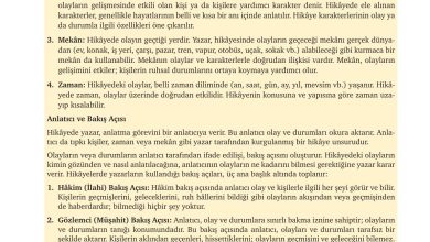 9. Sınıf Meb Yayınları Türkçe Ders Kitabı Sayfa 169 Cevapları