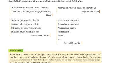 9. Sınıf Meb Yayınları Türkçe Ders Kitabı Sayfa 174 Cevapları