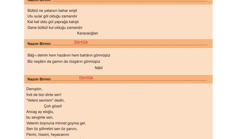 9. Sınıf Meb Yayınları Türkçe Ders Kitabı Sayfa 175 Cevapları