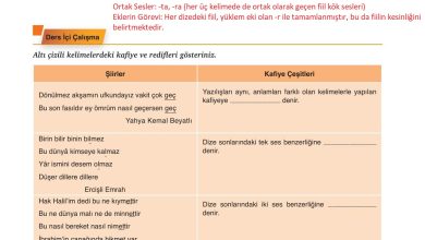 9. Sınıf Meb Yayınları Türkçe Ders Kitabı Sayfa 176 Cevapları