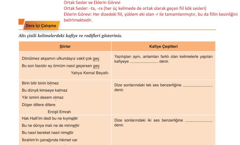 9. Sınıf Meb Yayınları Türkçe Ders Kitabı Sayfa 176 Cevapları