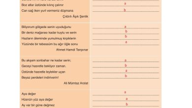 9. Sınıf Meb Yayınları Türkçe Ders Kitabı Sayfa 177 Cevapları