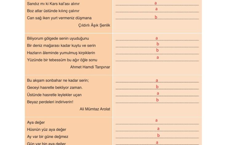 9. Sınıf Meb Yayınları Türkçe Ders Kitabı Sayfa 177 Cevapları