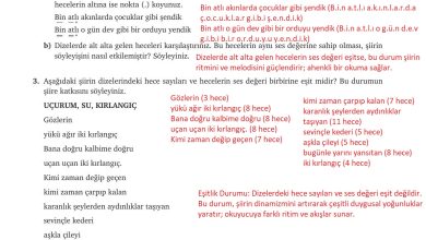 9. Sınıf Meb Yayınları Türkçe Ders Kitabı Sayfa 178 Cevapları