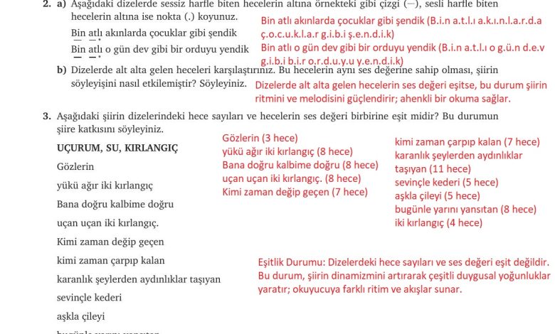 9. Sınıf Meb Yayınları Türkçe Ders Kitabı Sayfa 178 Cevapları