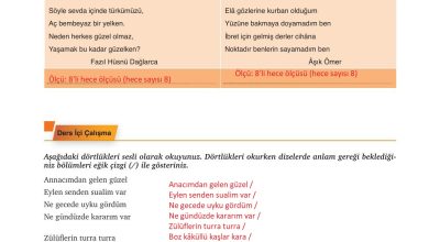 9. Sınıf Meb Yayınları Türkçe Ders Kitabı Sayfa 179 Cevapları