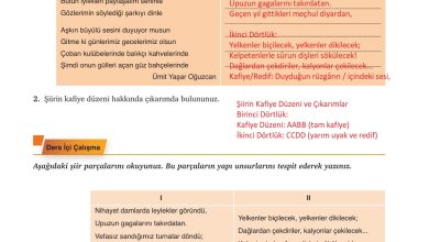 9. Sınıf Meb Yayınları Türkçe Ders Kitabı Sayfa 180 Cevapları